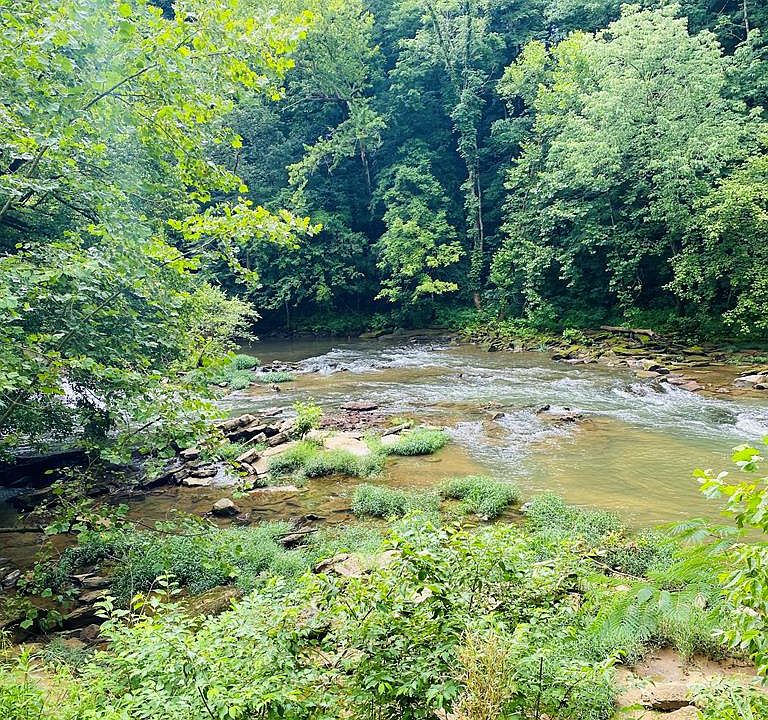2nd image of 656 S Fork Rd