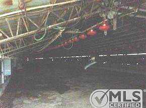 2nd image of 1995 Waters Rd