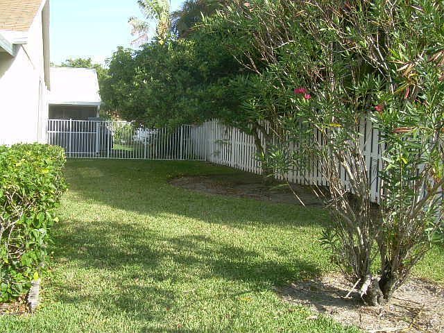 Back yard