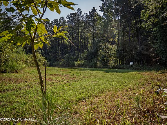4th image of Attala Rd #3053