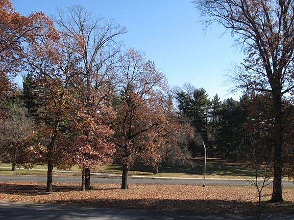 View from the front of the home