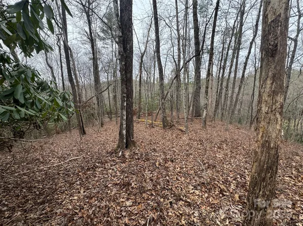 999 Moon Cir #135, Brevard, NC 28712