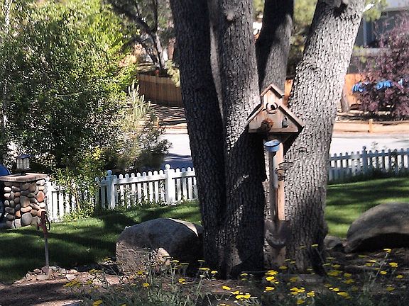 3rd image of 42674 Edelweiss Dr