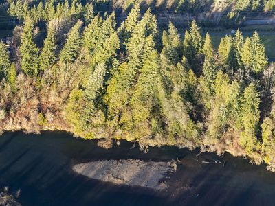 Old Lewis River Rd, Woodland, WA, 98674