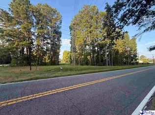 3 Hunts Mill Rd, Cheraw, SC 29520