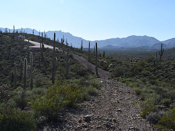 4th image of 5909 W El Camino Del Cerro