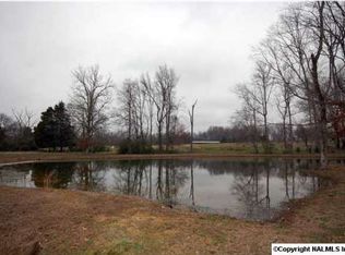 230 Roy Davis Rd, New Market, AL 35761