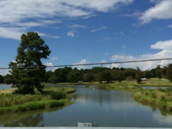 Enjoy Lake Livingston