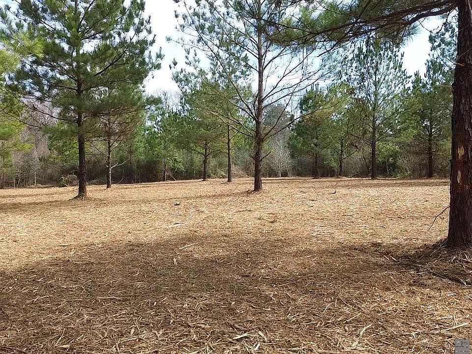 1st image of TRACT 1 Louisiana Ave #A