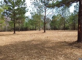 TRACT 1 Louisiana Ave #A, Roseland, LA 70456