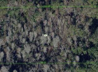 Westpoint Dr, Wesley Chapel, FL 33544