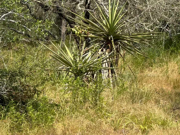 5986 Fm 1107 Unit B LOT 3, Stockdale, TX 78160