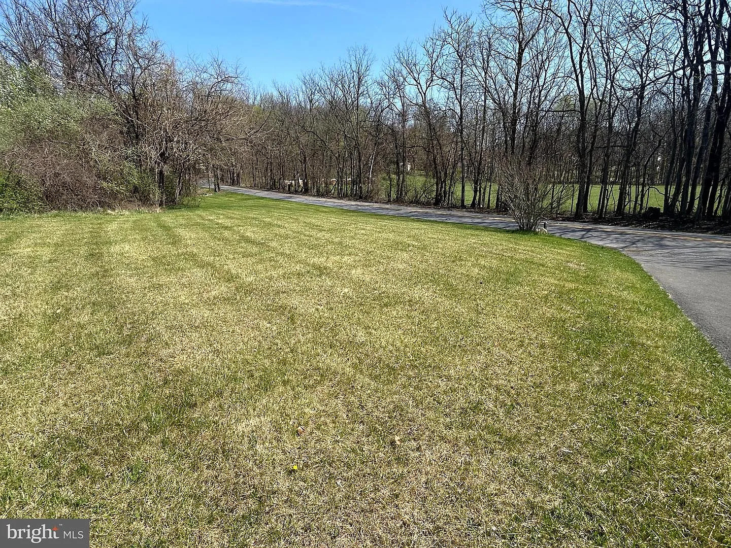 Morgan Grove Rd photo 1