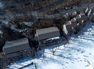 232 Timbers, Wintergreen Resort, VA 22967