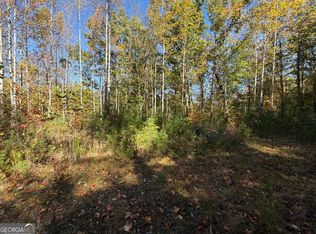 0 Benny Mountain Rd Lot A, Clayton, GA 30525