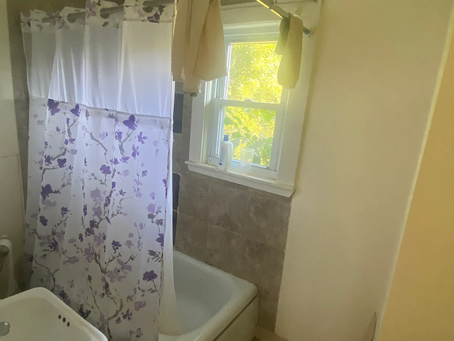 1 bed, $950 — Photo 4