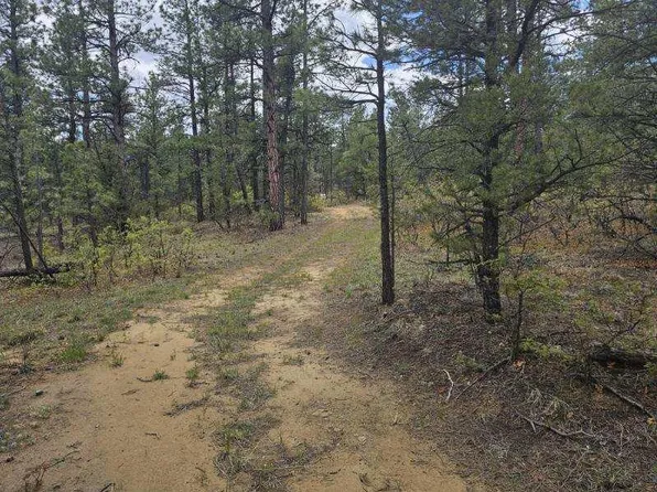 17990 King Rd Lot 1166, Weston, CO 81091