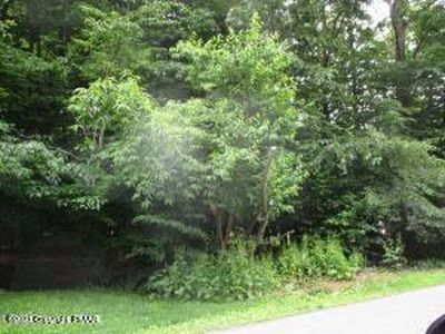 263 Country Place Dr, Tobyhanna, PA, 18466