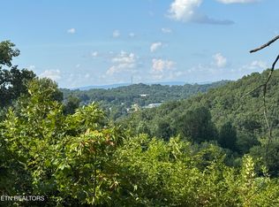 Cole Hollow Rd, New Tazewell, TN 37825