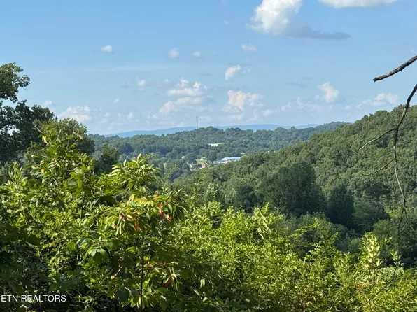 Cole Hollow Rd, New Tazewell, TN 37825