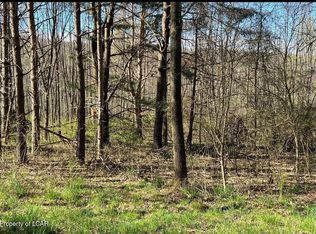 Tv 202 Buttonbush & White Oak Ln, Hazleton, PA 18202