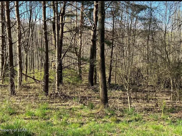 Tv 202 Buttonbush & White Oak Ln, Hazleton, PA 18202