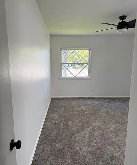 bedroom 3...again, spacious, new carpet, ceiling fan, paint...