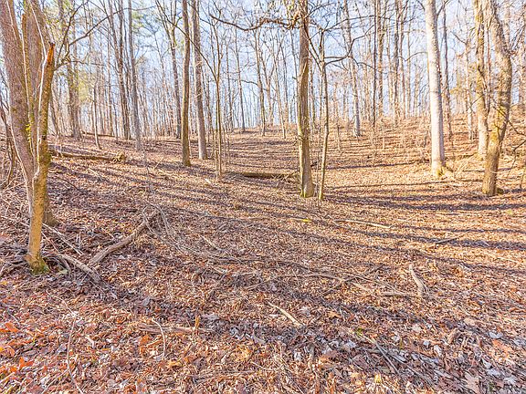 3rd image of 5411 Brown Chapel Ln