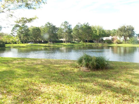 pond/back yard