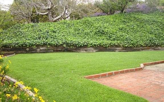 Easy care landscaping providing privacy and space from neighbors.