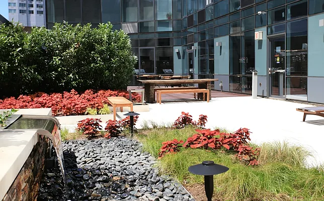 Rented by The Dermot Realty Management Company | media 39