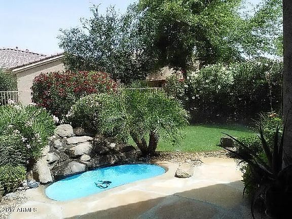 4538 backyard updated2