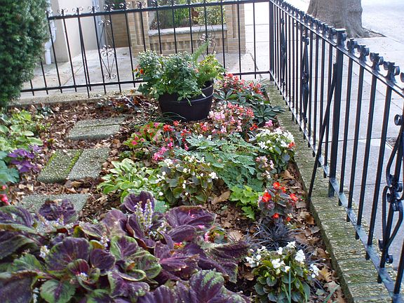 front garden