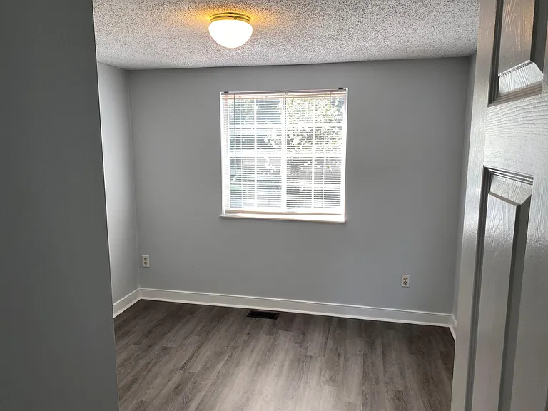 9732 Springfield Woods Cir — Photo 46