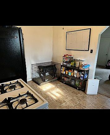 4th image of 307 W Tyrone Ave