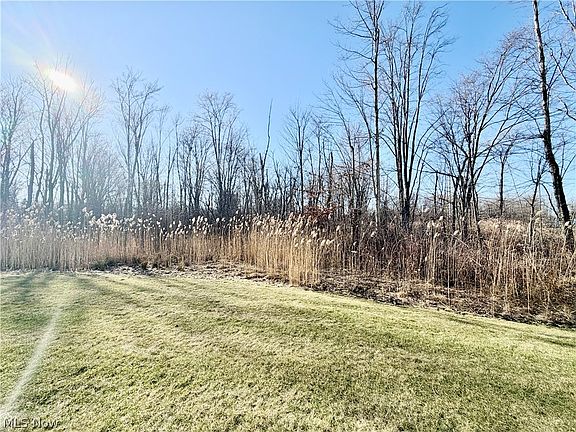 3rd image of 153 Raintree Ln