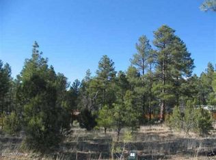 4730 W Hawthorn Rd, Show Low, AZ 85901