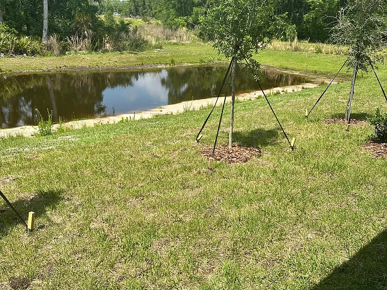 Private backyard