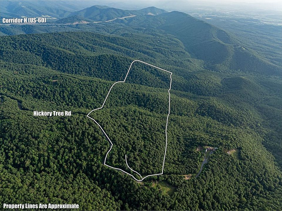 Hickory Tree Rd 1