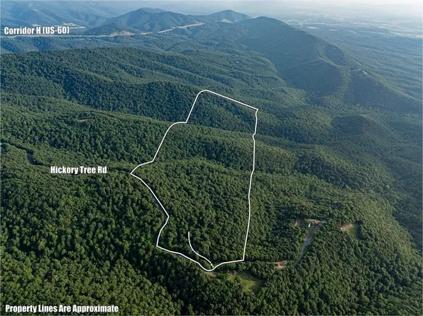 0 Hickory Tree Rd, Moorefield, WV 26836