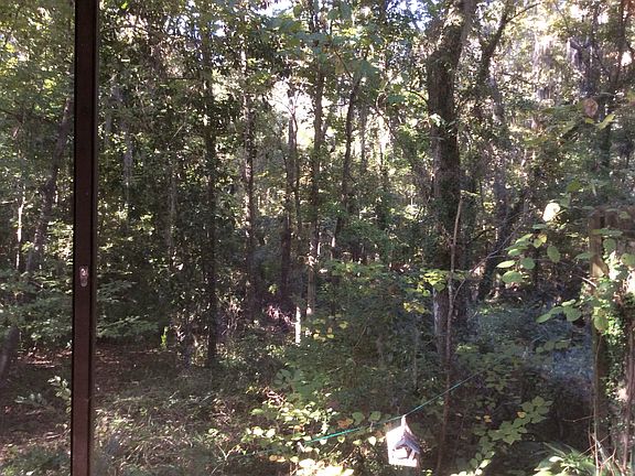 View-porch towards creek