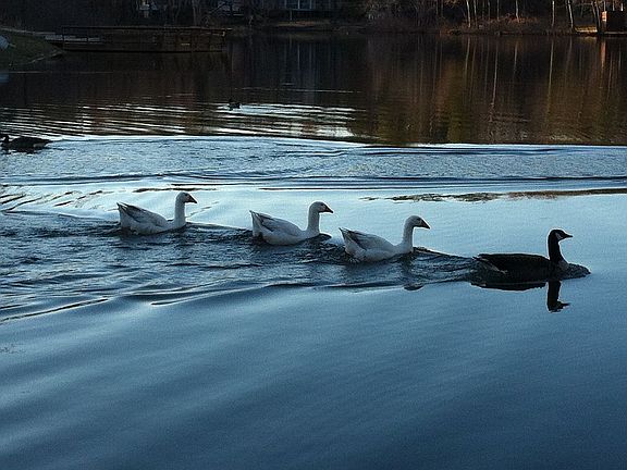 Lake