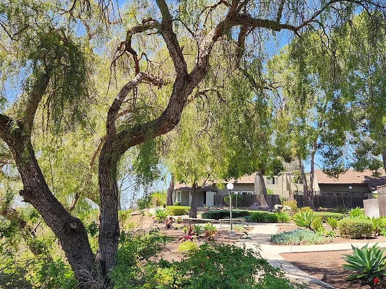 11087 Clairemont Mesa Blvd — Photo 13
