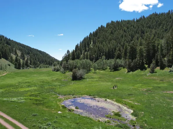 Bull Canyon Rd, Rockland, ID 83271