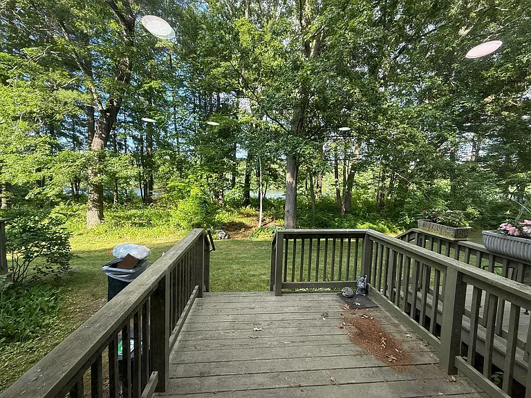 Backyard - Scenic