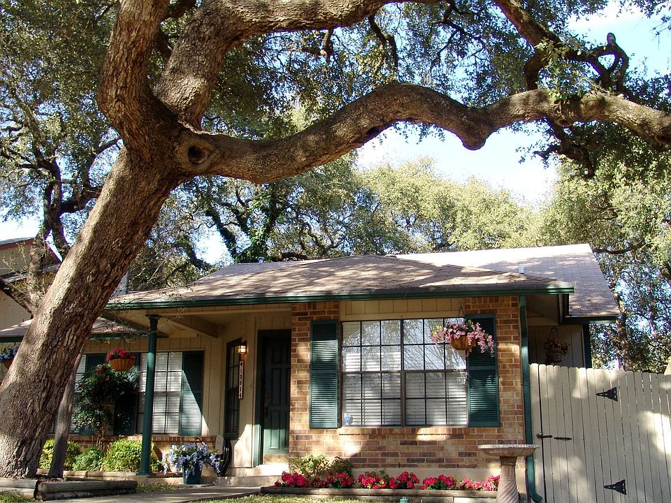 Front yard with oaks
