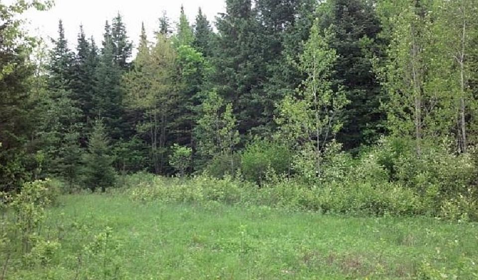 2nd image of Popple River Acres #4