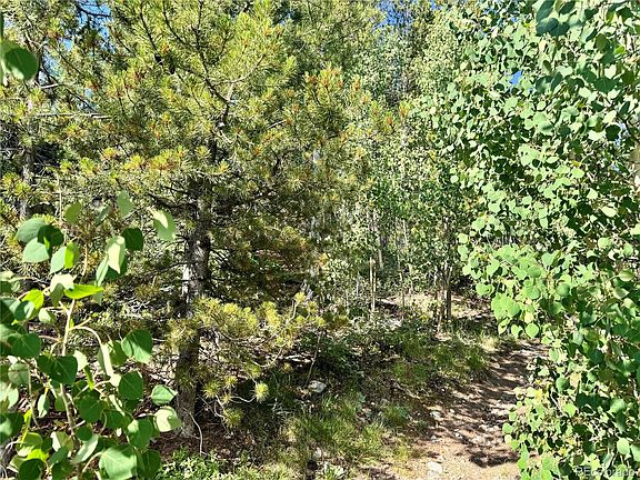 5th image of 121 N Aspen Street LOT 20