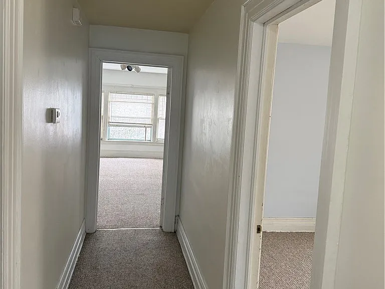 344 Elmwood Ave #3 — Photo 5