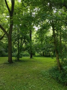 2650 Reyn New Albany Rd, Blacklick, OH, 43004